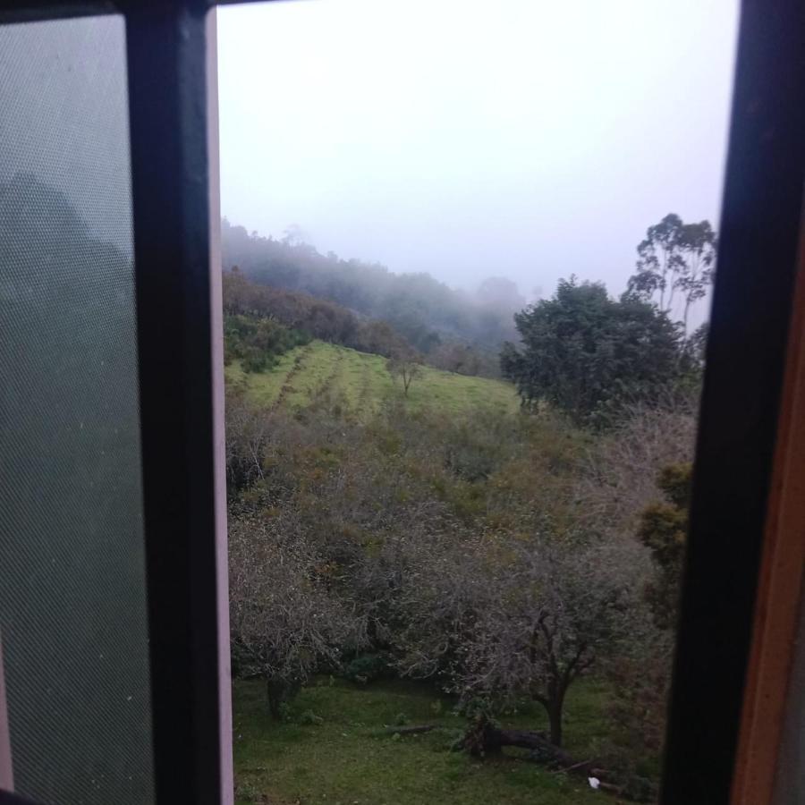 Olive Rooms Kodaikanal With Wifi, Spacious Rooms, Parking Exterior photo